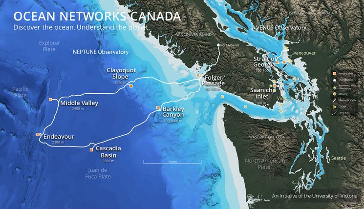 Pacific Ocean Neutrino Experiment Explorer P-ONE Telescope Resconi Ocean Networks Canada Technical University of Munich